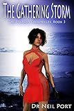 The Gathering Storm (The Paladin Chronicles Book 3)