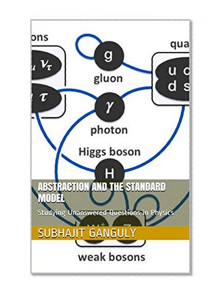 Abstraction and the Standard Model: Studying Unanswered Questions in Physics