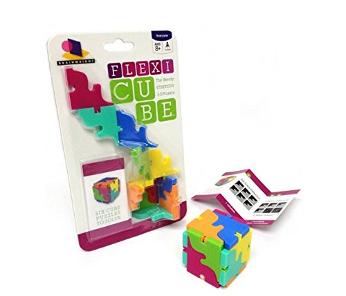 Book Cover Brainwright Flexi Cube Puzzle