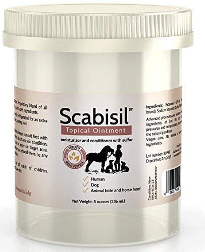 Scabisil 10% Sulfur Ointment for Human Mites, Insect Bites, Acne, Itchy Skin, Fungus, Tinea Versicolor - 8 oz Jumbo Tub