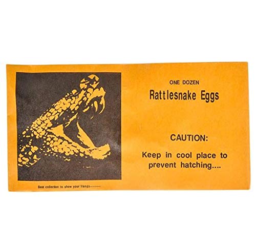 Rhode Island Novelty Joke Rattlesnake Egg Envelope, Set of 6