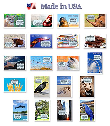 Book Cover FUN FACTS postcard set of 20. Post card variety pack with trivia and fun fact theme postcards. Made in USA.