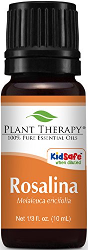 Plant Therapy Rosalina Essential Oil 10 mL (1/3 oz) 100% Pure, Undiluted, Therapeutic Grade