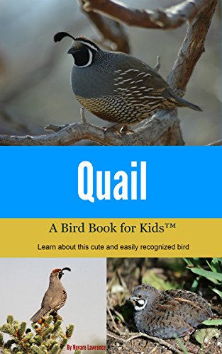 Quail: A Bird Book for Kids