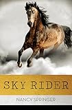 Sky Rider