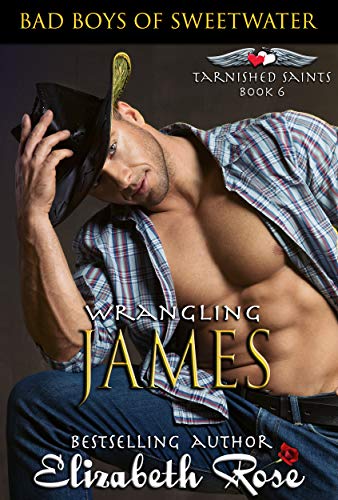 Wrangling James: Bad Boys of Sweetwater (Tarnished Saints Series Book 6)