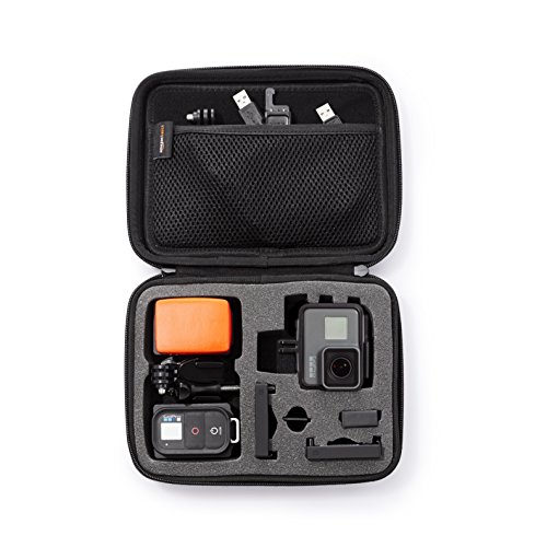 Book Cover AmazonBasics Small Carrying Case for GoPro And Accessories - 9 x 7 x 2.5 Inches, Black