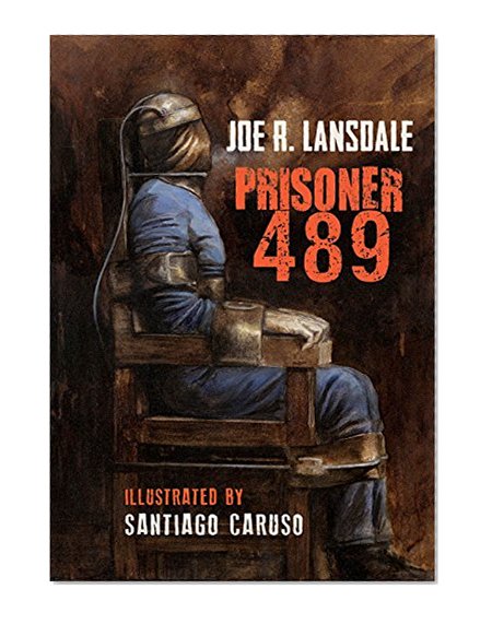 Prisoner 489 (Black Labyrinth Book 2)