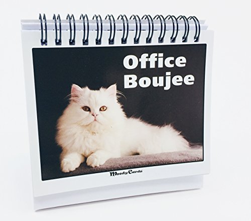 Office Gift For Cat Lovers - Moodycards! Make Everyone Laugh with These Adorable and Hilarious Cat memes - Let The Kittys Tell Everyone How You Feel! A Terrific Office Gift! 25 Different Moods