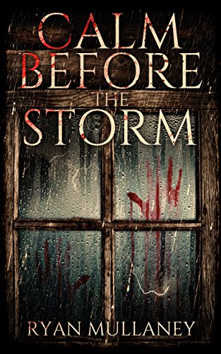 Book Cover Calm Before The Storm