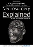 By Willem Adriaan Liebenberg Neurosurgery Explained: A Basic and Essential Introduction [Paperback]