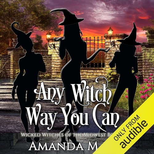 Any Witch Way You Can (Wicked Witches of the Midwest Book 1)