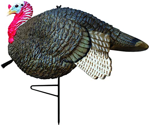 Primos Gobbstopper Jake Turkey Decoy