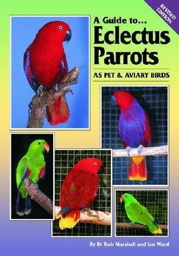 By Rob Marshall A Guide to Eclectus Parrots as Pet and Aviary Birds (Revised) [Paperback]