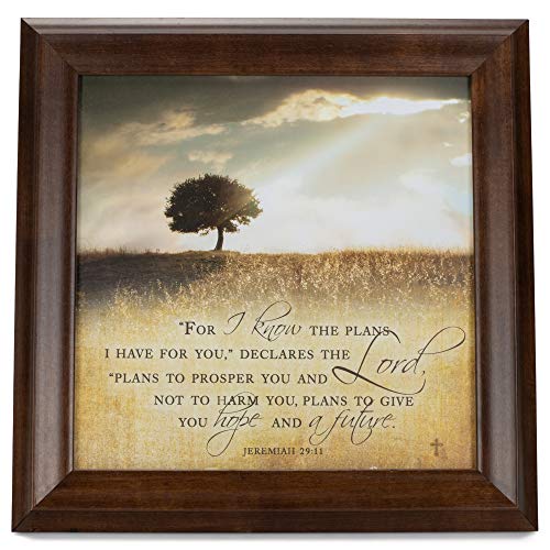 For I know the Plans I Have For You 12 x 12 Woodgrain Framed Wall Art Plaque