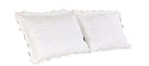 Book Cover ALL FOR YOU 2-Piece Embroidered Quilted Pillow Shams-Standard Size (White)