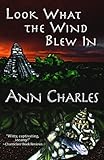 Look What the Wind Blew In (A Dig Site Mystery Book 1)