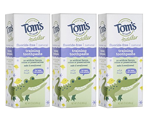 Tom's of Maine Toddlers Fluoride-Free Natural Toothpaste in Gel, Mild Fruit, 1.75 Fl Oz, Pack of 3