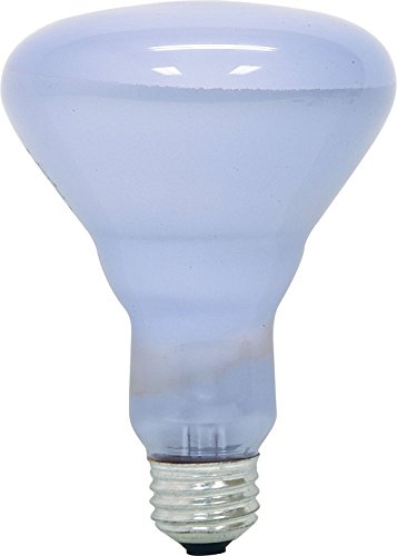 GE Lighting 48692 - 12 Pack - Reveal Br30 Reflector Light Bulb 65 W Lumens 510 Med Base