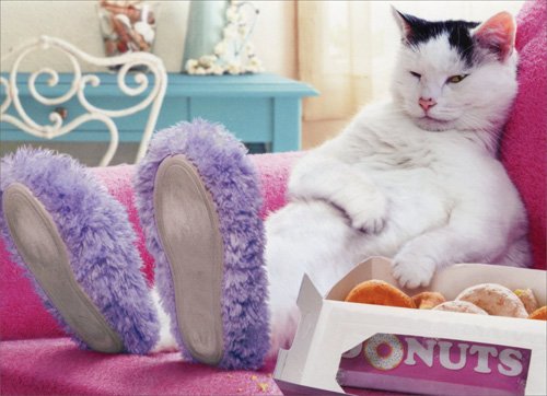 Cat Wearing Slippers Funny Just for Fun Card
