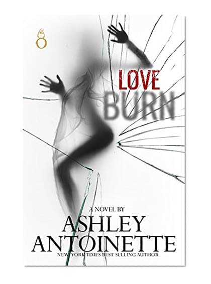 Book Cover Love Burn
