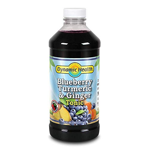 Dynamic Health Blueberry, Turmeric & Ginger Tonic Plastic | 16 oz