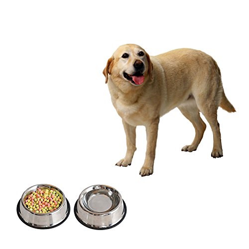 4lovedogs Stainless Steel Dog Bowls, 32 Oz (Set of 2)