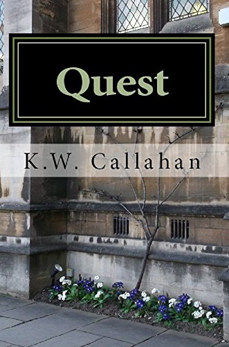 QUEST: THE SYSTEMIC SERIES (book 2)