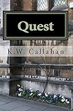 QUEST: THE SYSTEMIC SERIES (book 2)