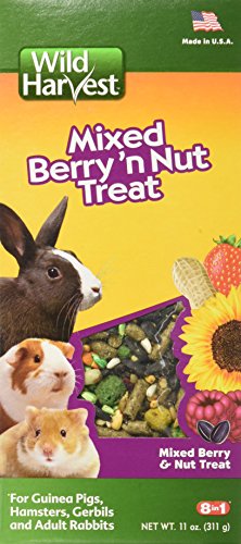Book Cover Wild Harvest Wild Berry and Nut Treat for Small Animals