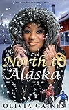 North to Alaska (Modern Mail Order Brides Book 1)