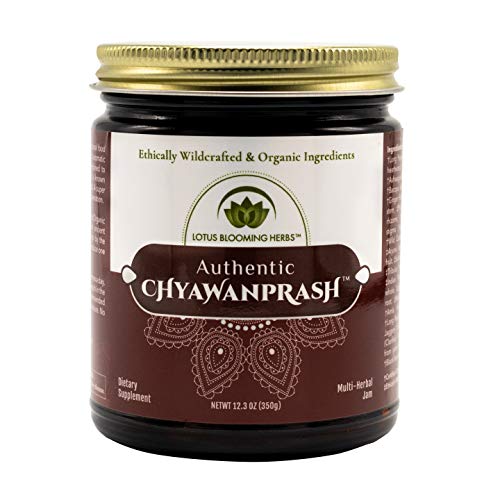Book Cover Authentic Chyawanprash - 12.3 OZ Ethically Wildcrafted and Organic