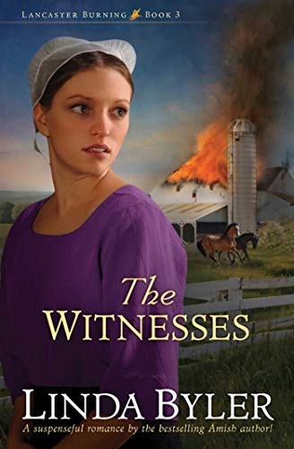 Book Cover The Witnesses (Lancaster Burning Book 3)