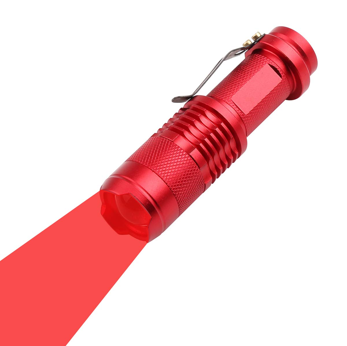Book Cover WAYLLSHINE Scalable Red LED 3 Mode Long Range Red Beam Red Light Flashlight, Red Flashlight Red LED Flashlight Torch with Red Light For Night Outdoor Work, Reading-Red House