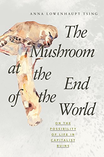 The Mushroom at the End of the World: On the Possibility of Life in Capitalist Ruins