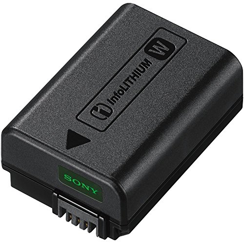 Sony Rechargeable Battery Pack