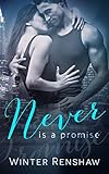 NEVER IS A PROMISE (Never Say Never Book 2)