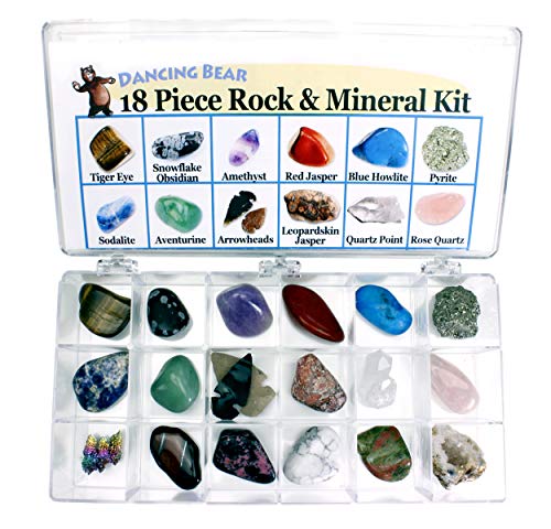 Book Cover Rock and Mineral Educational Collection & Deluxe Collection Box -18 Pieces with Description Sheet and Educational Information. Limited Edition, Geology Gem Kit for Kids with Display Case, Dancing Bear