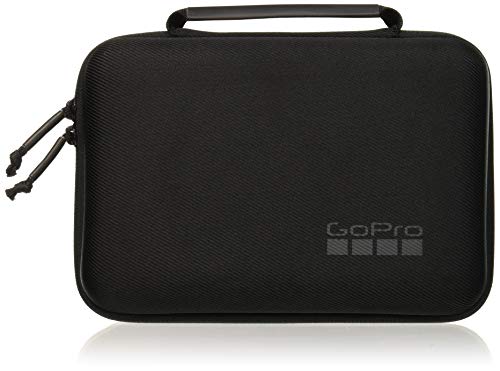 Book Cover GoPro Casey (Camera + Mounts + Accessories Case) (GoPro Official Accessory)