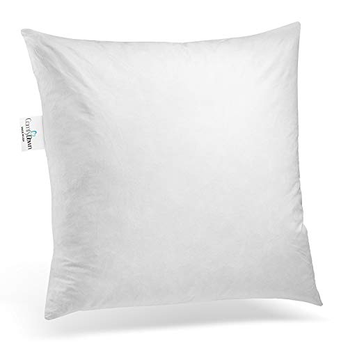 ComfyDown 95% Feather 5% Down, 22 X 22 Square Decorative Pillow Insert, Sham Stuffer - Made in USA