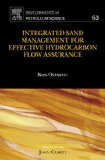 Integrated Sand Management For Effective Hydrocarbon Flow Assurance (Developments in Petroleum Science)