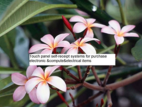 Touch panel self-receipt systems for purchase electronic &compute&electrical items3 (2)