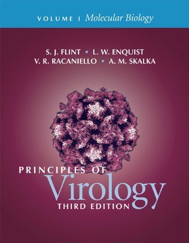 Principles of Virology (2 Volume Set) 3rd edition by Flint, S. Jane, Enquist, Lynn W., Racaniello, Vincent R., Sk (2008) Paperback