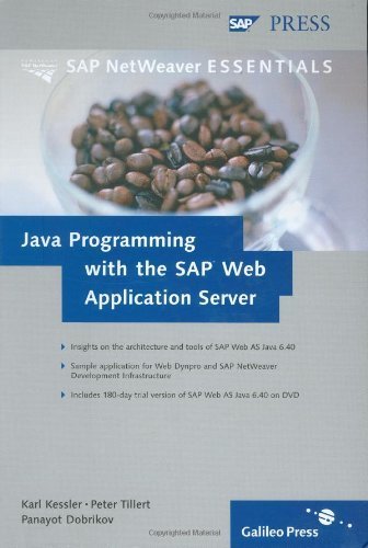 Java Programming with the SAP Web Application Server 1st edition by Kessler, Karl, Tillert, Peter, Dobrikov, Panayot (2005) Hardcover