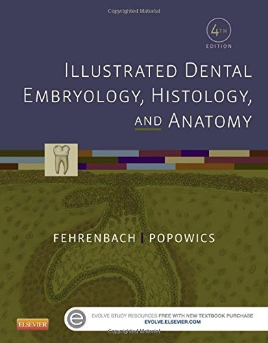 Illustrated Dental Embryology, Histology, and Anatomy, 4e 4th Edition by Fehrenbach RDH MS, Margaret J., Popowics, Tracy (2015) Paperback