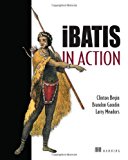 iBatis in Action 1st edition by Begin, Clinton, Goodin, Brandon, Meadors, Larry (2007) Paperback