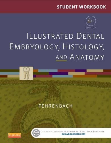 Student Workbook for Illustrated Dental Embryology, Histology and Anatomy, 4e 4th Edition by Fehrenbach RDH MS, Margaret J. (2015) Paperback