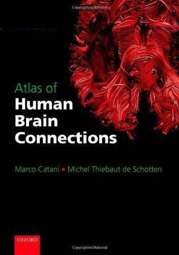 Atlas of Human Brain Connections 1st Edition by Catani, Marco, Thiebaut de Schotten, Michel (2012) Hardcover