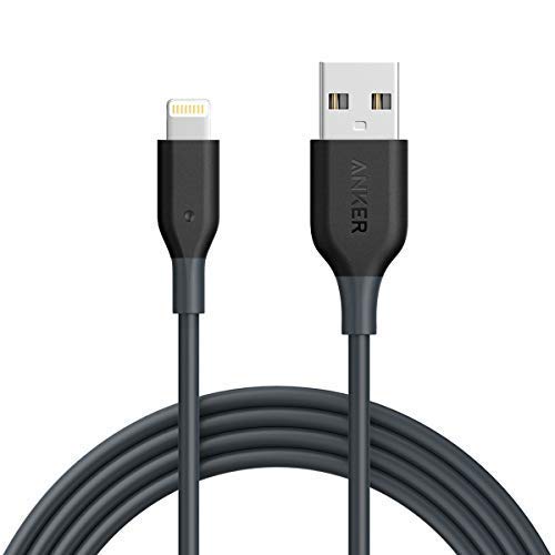 Book Cover iPhone Charger, Anker Powerline 6ft Lightning Cable, MFi Certified USB Charge/Sync Cord for iPhone Xs/XS Max/XR/X / 8/8 Plus / 7/7 Plus / 6/6 Plus / 5s / iPad, and More (Gray)