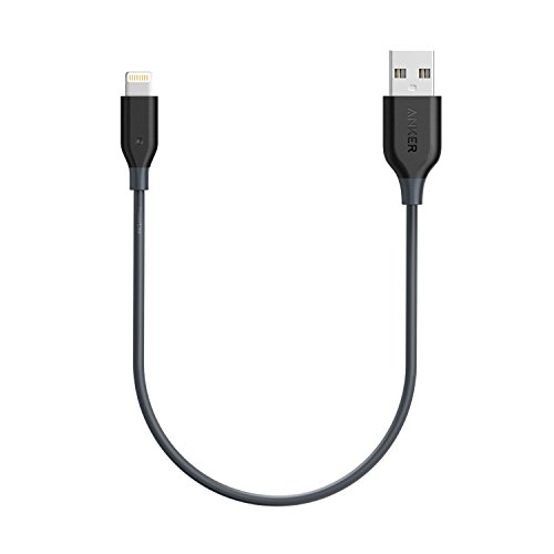 Book Cover Anker Powerline 1ft Lightning Cable, MFi Certified for iPhone Xs/XS Max/XR/X / 8/8 Plus 7/7 Plus / 6/6 Plus / 5S (Space Gray)